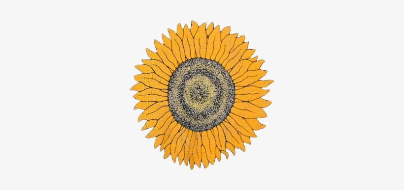 Flowers, Sunflower, And Yellow Image - Philadelphia Magazine Top Doctors 2018, transparent png download