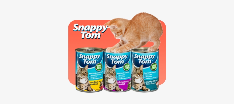 400gcans A 400gcans B - Snappy Tom Cat Food, transparent png download