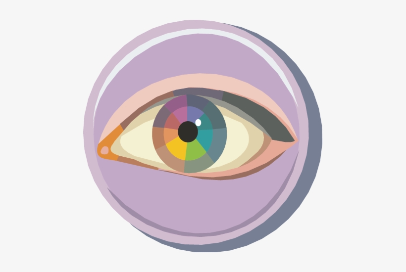 The Wild Kratts Have A Great Activity For You On The - Five Senses Eyes, transparent png download