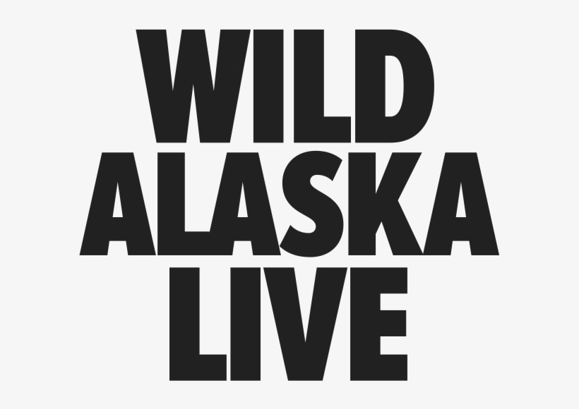 Latest Episode - Fête De La Musique, transparent png download