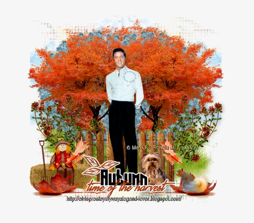 Elvis Presley, Autumn Time Of The Harvest - Companion Dog, transparent png download