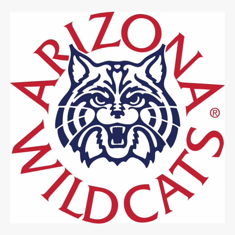 Arizona Wildcats Iron Ons - University Of Arizona Wildcat, transparent png download