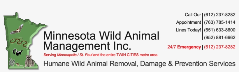 Minnesota Wild Animal Management, transparent png download