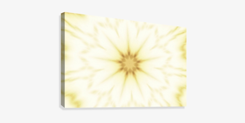 Sunshine Cammie Rayas Canvas Print - Plywood, transparent png download