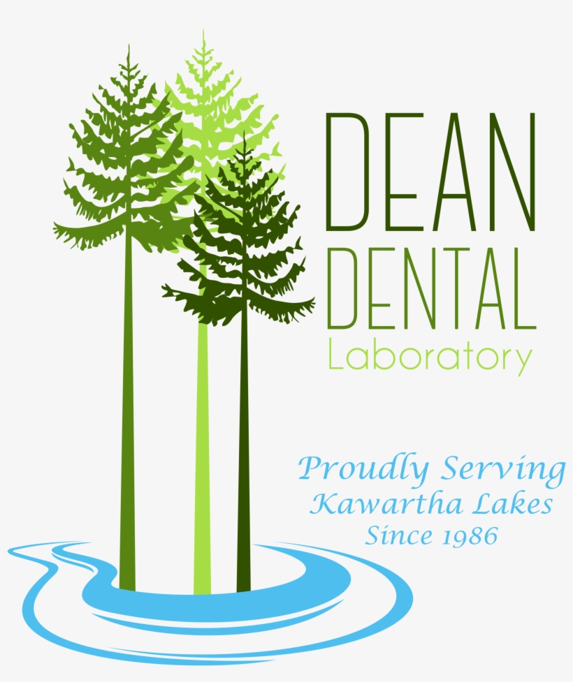 Peterborough, On, Canada - Mixed Coniferous Forest, transparent png download