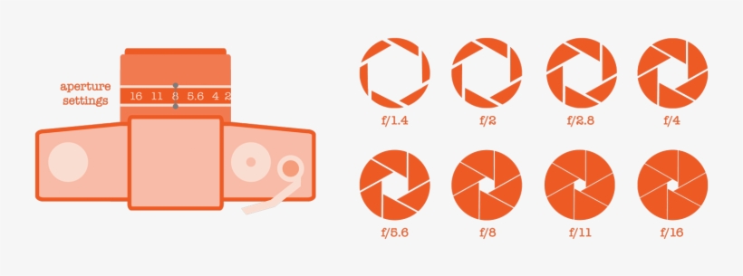 How Do You Shoot A Test Roll It's All About “bracketing”, - Camera Aperture, transparent png download