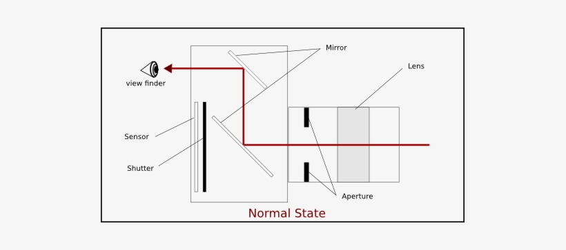 Light Travels Through Your Lens, Between The Aperture - Does A Camera Work, transparent png download