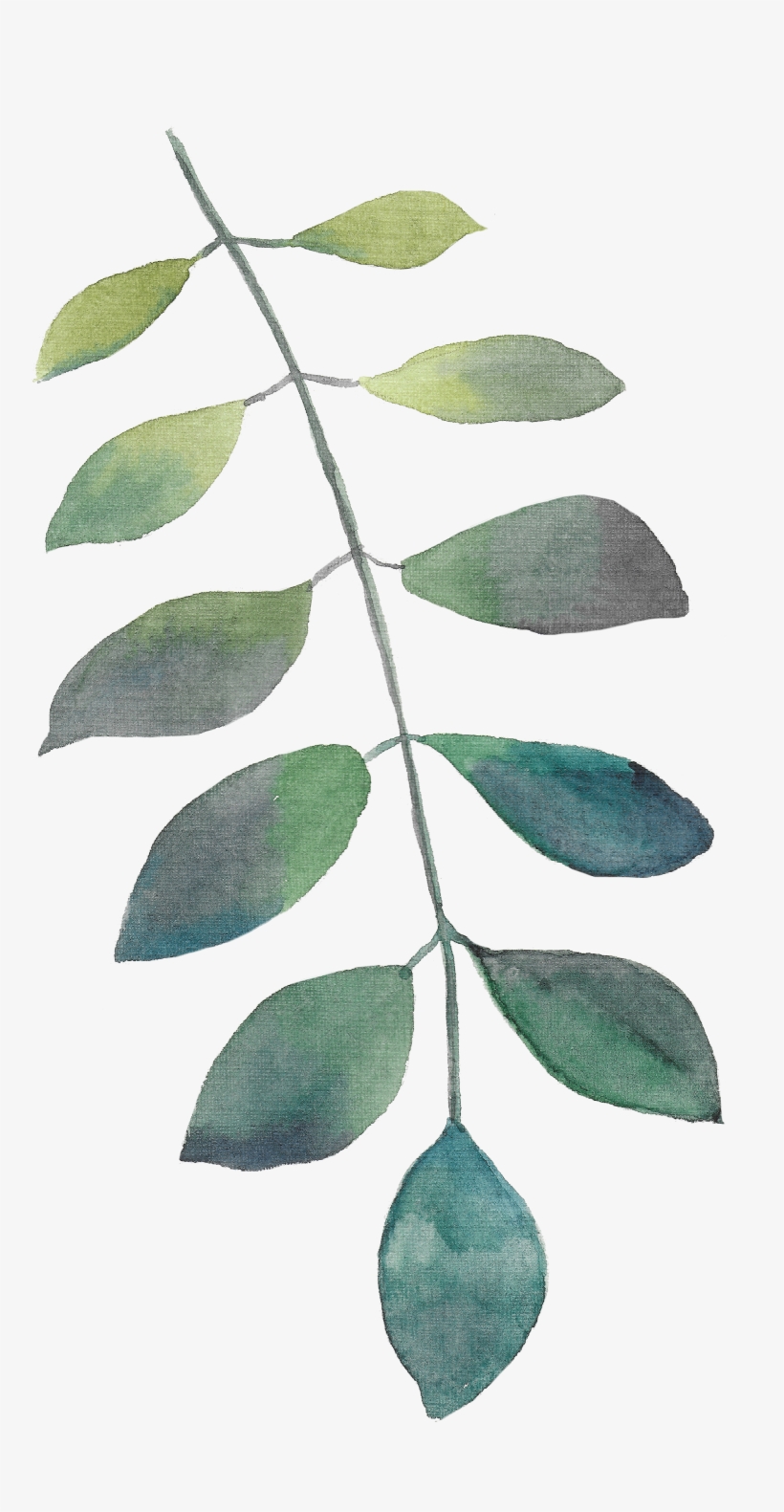 Hey There, I'm Heather - Watercolor Painting, transparent png download