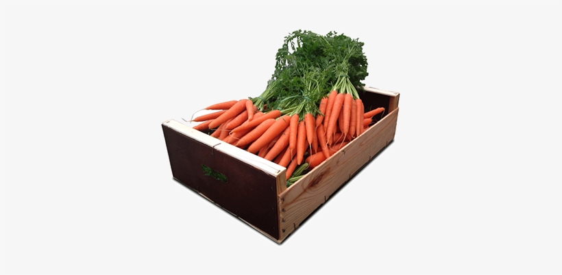 Cajas Pool , Ifco , Madera Y Cartón Y Flow Pack - Caja De Zanahorias Png, transparent png download