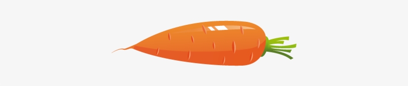 Zanahoria - Carrot, transparent png download
