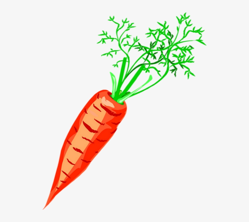 Carrot, transparent png download