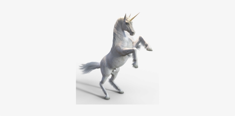 White Unicorn, Category, - Unicorn Psd, transparent png download