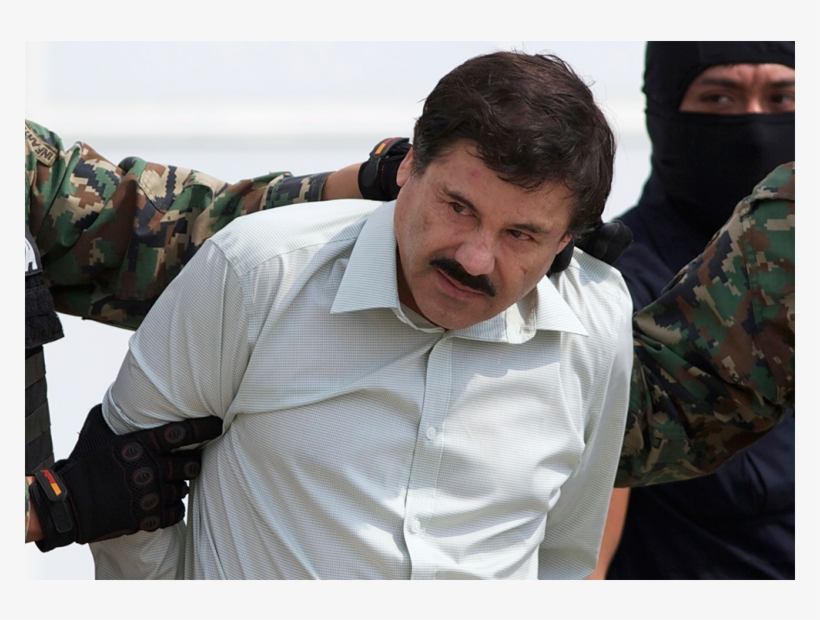 Guzman Joaquin, transparent png download