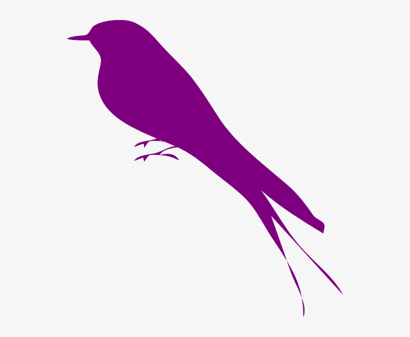 Bird Purple Photos - Blue Bird, transparent png download