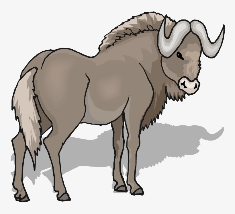 Rat Ox Tiger - New York University, transparent png download