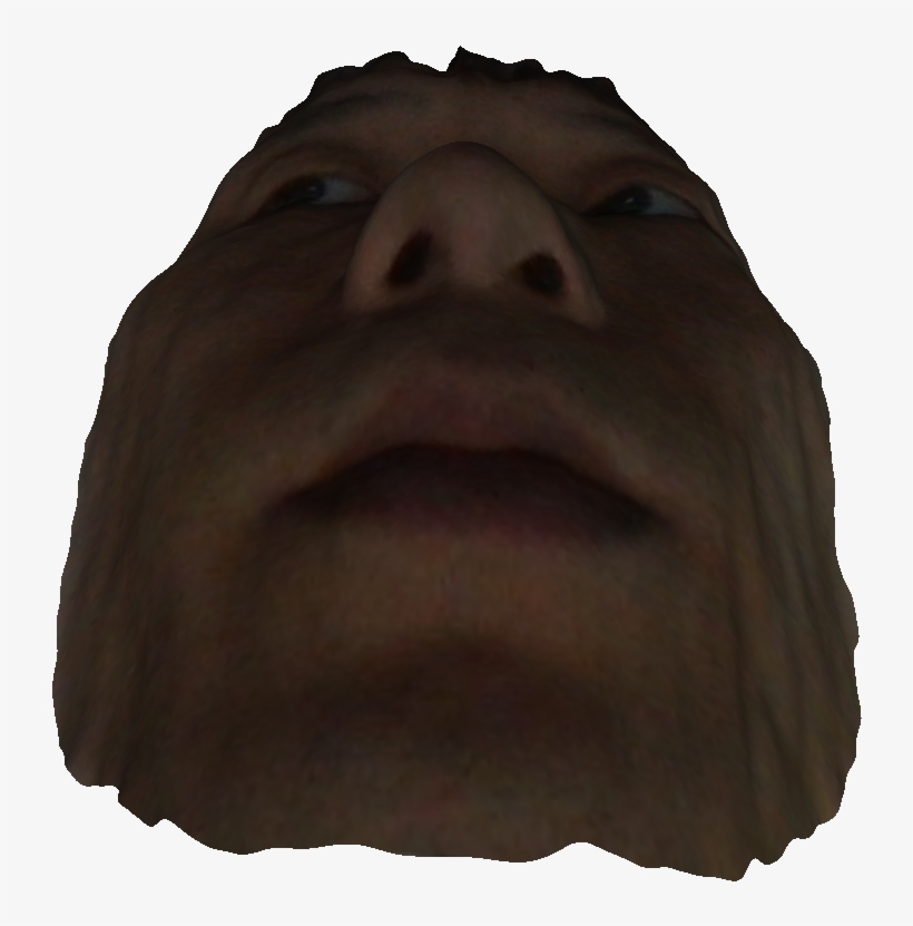 Hippopotamus, transparent png download