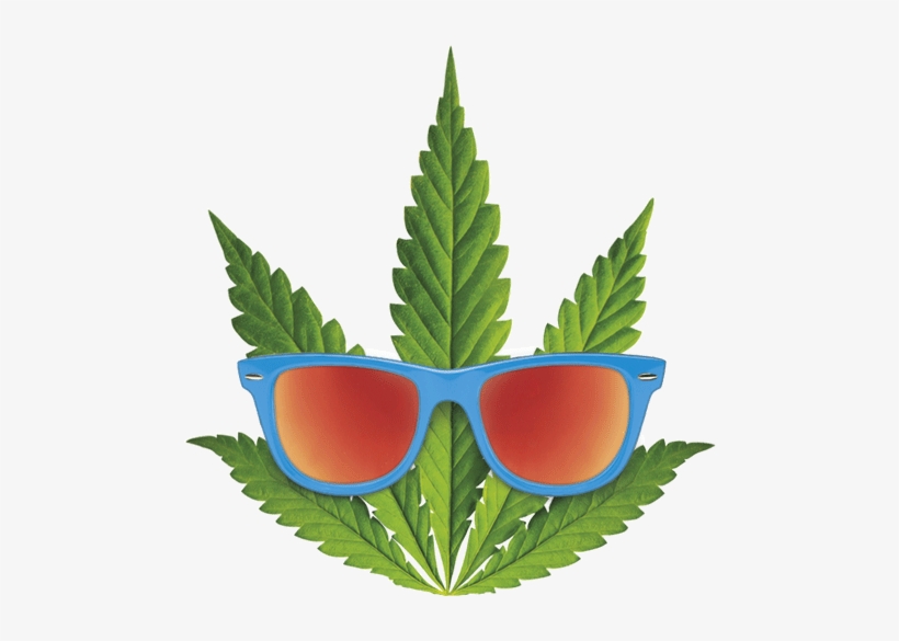 Hemp - Ecomil Hemp, transparent png download