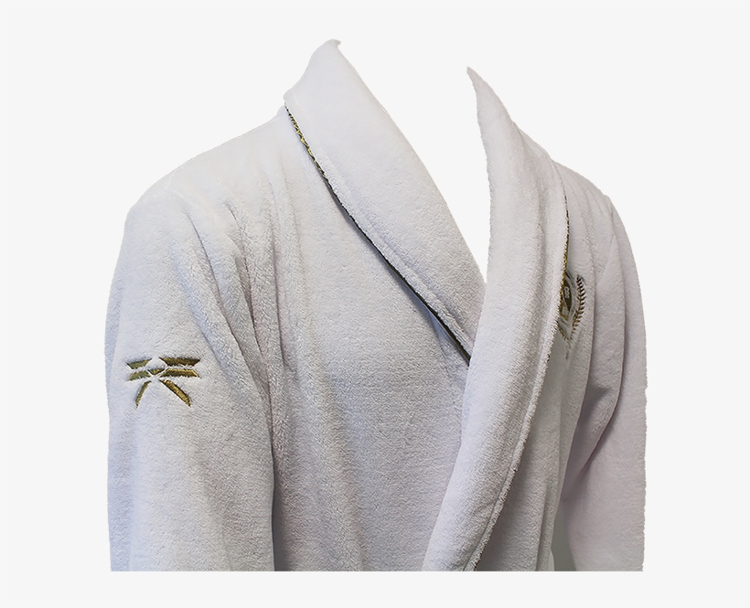 Destiny 2 Guardian Bathrobe - Hoodie, transparent png download