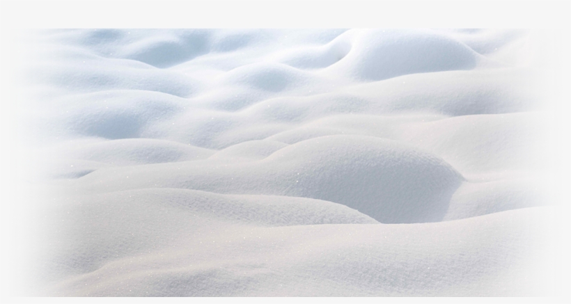 2wheel Revolution's Fat Bike Race - Fatbike, transparent png download