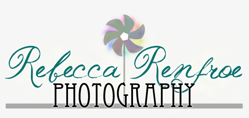 Photography, transparent png download