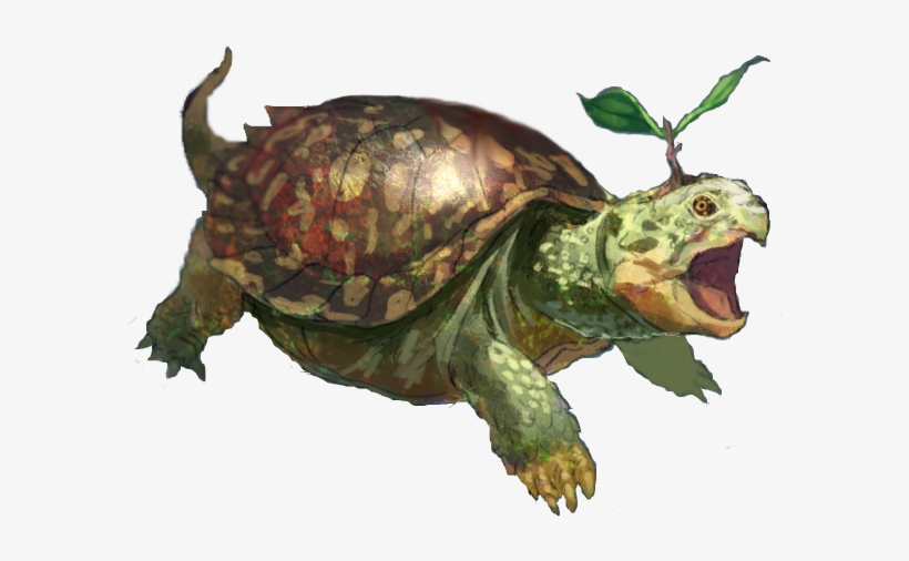 Turtwig Realistico - Tortoise, transparent png download