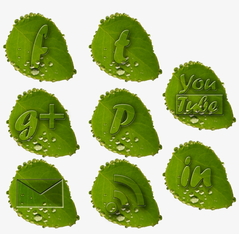 Free Social Media Icon Set Rainy Style - Social Media Icons Green Png, transparent png download