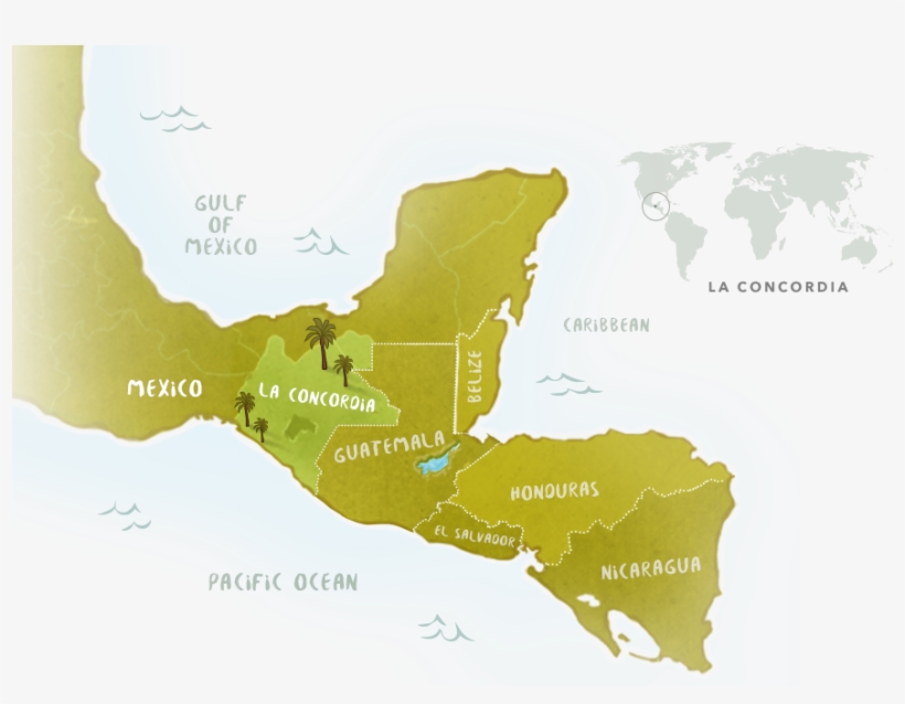 Coffee Notes Flavor Description Bright Lemon Citrus - World Map, transparent png download