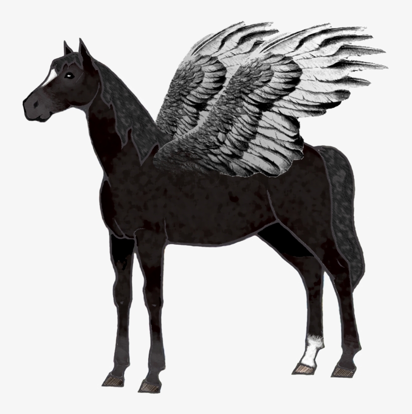 Cheval Aile Noire - Stallion, transparent png download