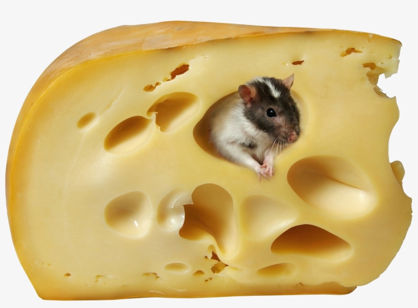 Cheese Png - Cheese Clip Art, transparent png download