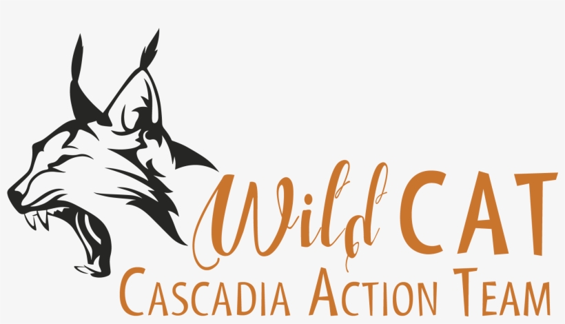 Join Us For Our Monthly Wildcat Volunteer Meeting, - Bonares, transparent png download