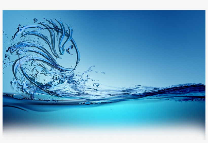 Lionfish - Sea, transparent png download