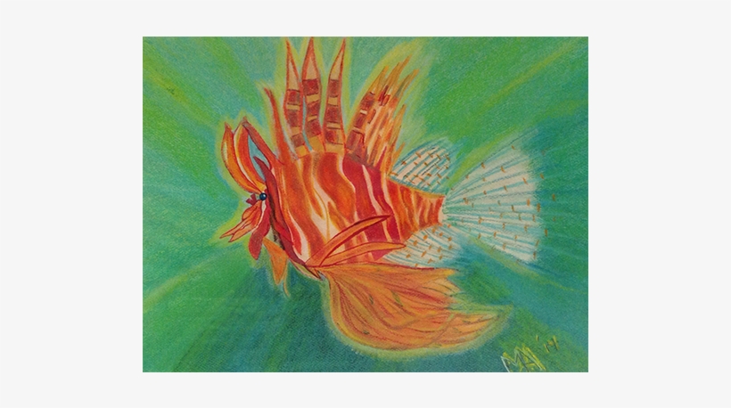 Chalk Pastel - Lionfish, transparent png download