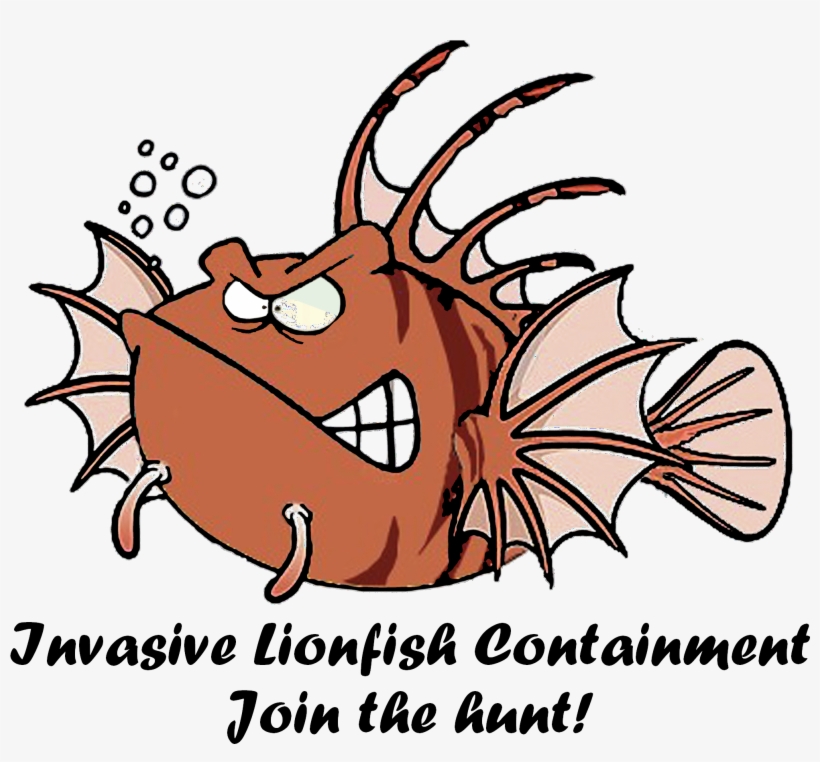 Dive Carriacou Supports Caribbean Reef Buddy - Blumenfee, transparent png download