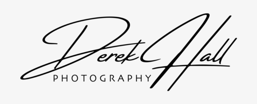 Derek Hall 2 Hi Res Black - Photography, transparent png download