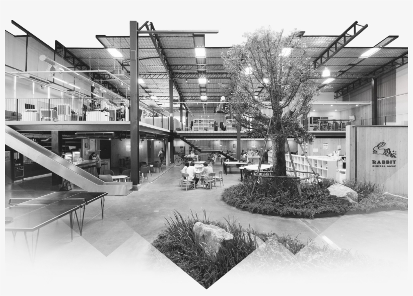 This Is What We Can Do For You - Rabbit Tale Agency, transparent png download