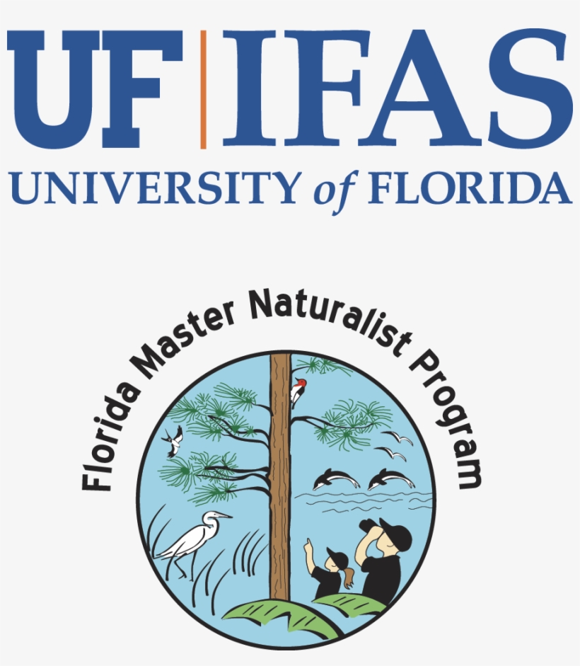 Florida Master Naturalist Program - Uf Ifas, transparent png download