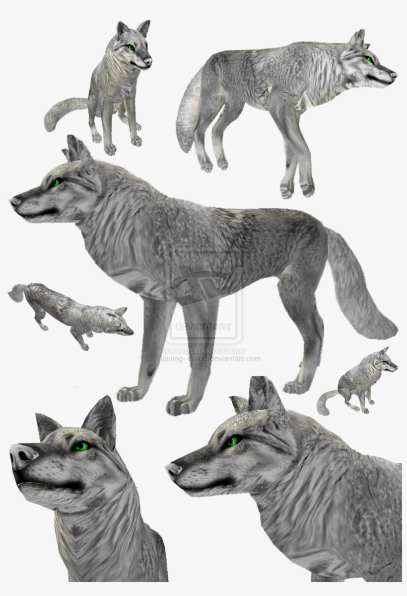 Feralheart Fur Texture For Canines By Rainofbl00d - Feral Heart Raining Blood Fur Texture, transparent png download