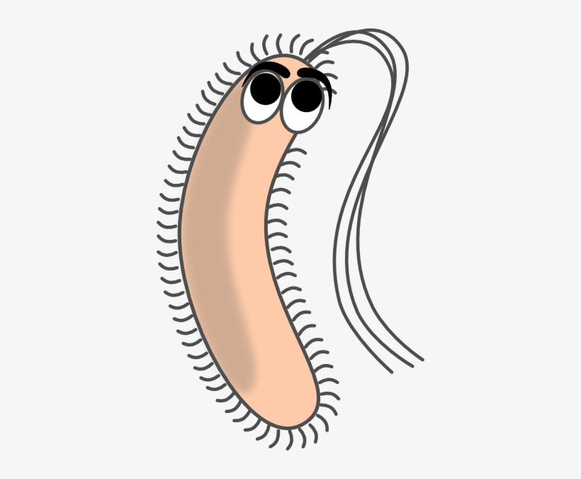 How To Set Use Modified Funny Bacteria Svg Vector PNG Image