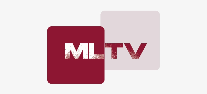 Everything Else That You Don't See On This List Is - Ve Mfo, transparent png download