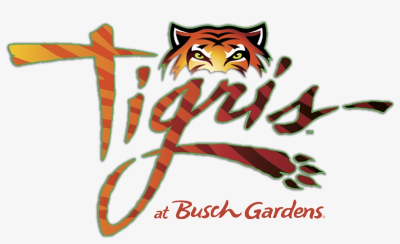 Tigris Logo - Busch Gardens New Ride 2019, transparent png download