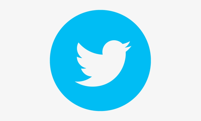 Caldo De Res - Transparent Background Twitter Logo, transparent png download