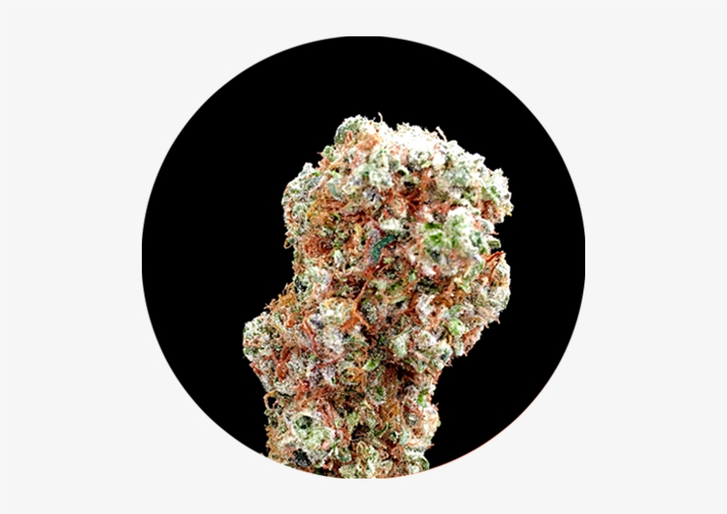 Bruce Banner - Side Dish, transparent png download