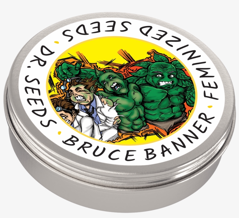 Bruce Banner - Haze, transparent png download