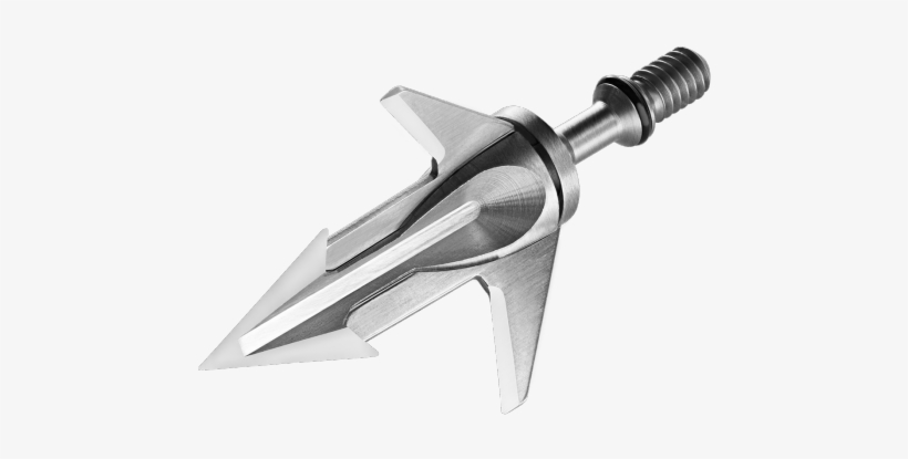 Bloodsport, transparent png download