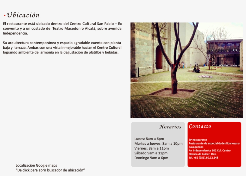 Ubicacion - - Tree, transparent png download