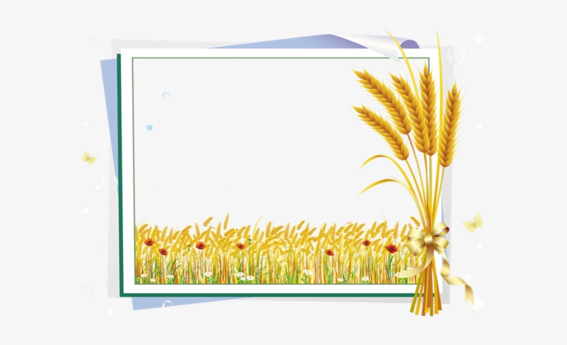 Labels, Scraps, Png - Free Grass Vector, transparent png download