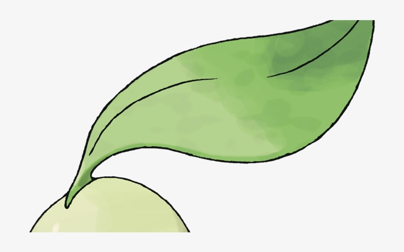 Pokemon Chikorita, transparent png download