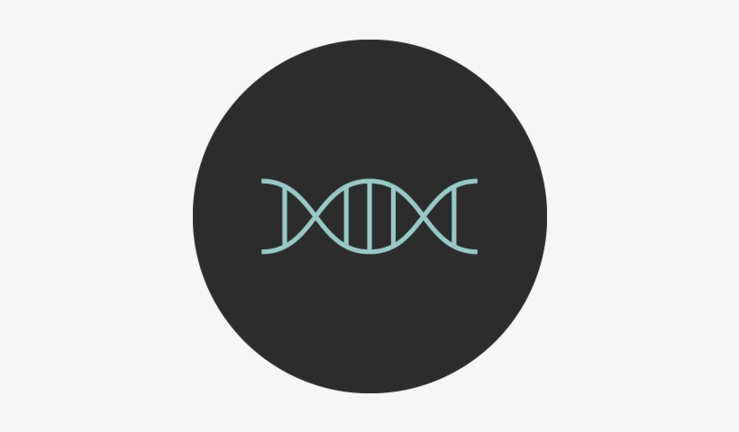 Branding - Burial Young Death Nightmarket, transparent png download