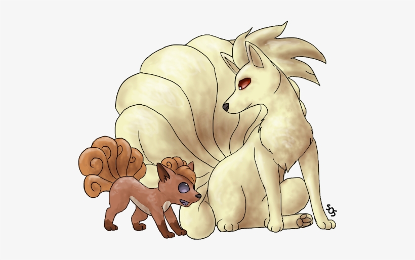 Photo - Mammal, transparent png download