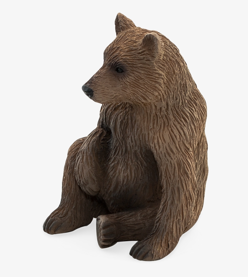 Animal Planet: Grizzly Bear Cub, transparent png download